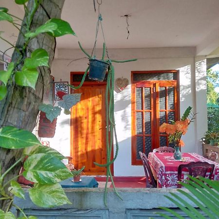Nelum Home Stay 锡吉里亚 外观 照片